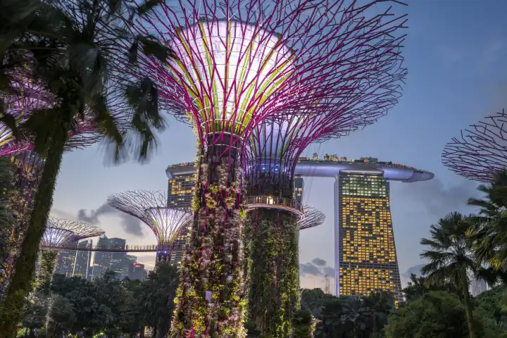 Singapore, Gardens by the Bay with the Super-Tress, in the background the Marina Bay Sands Hotel