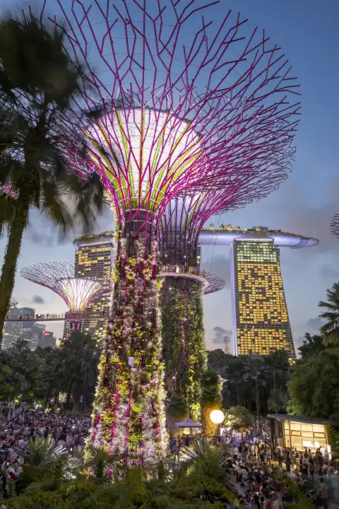 Singapur, Gardens by the Bay mit den Super-Tress, 
im Hintergrund das Marina Bay Sands Hotel