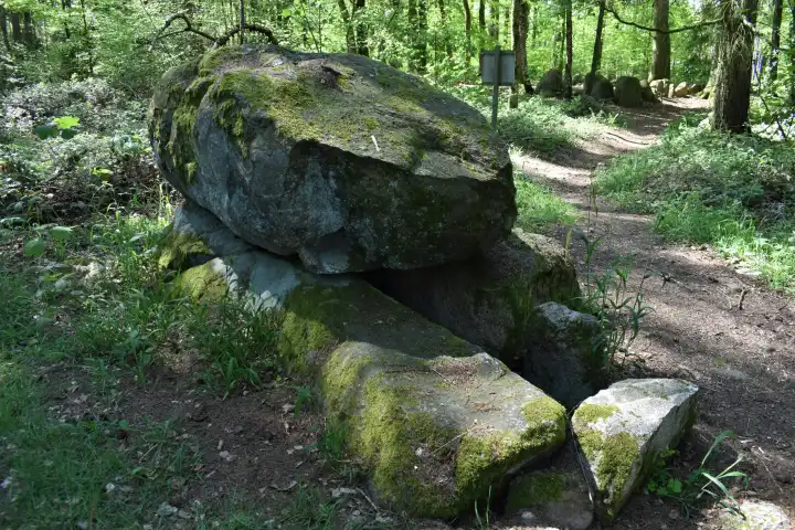 Prehistoric megalithic tomb of Barendorf (Dassow) / Mecklenburg