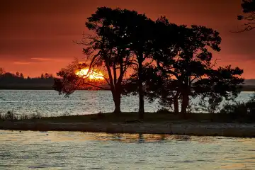 trees on al littel island while sun rises