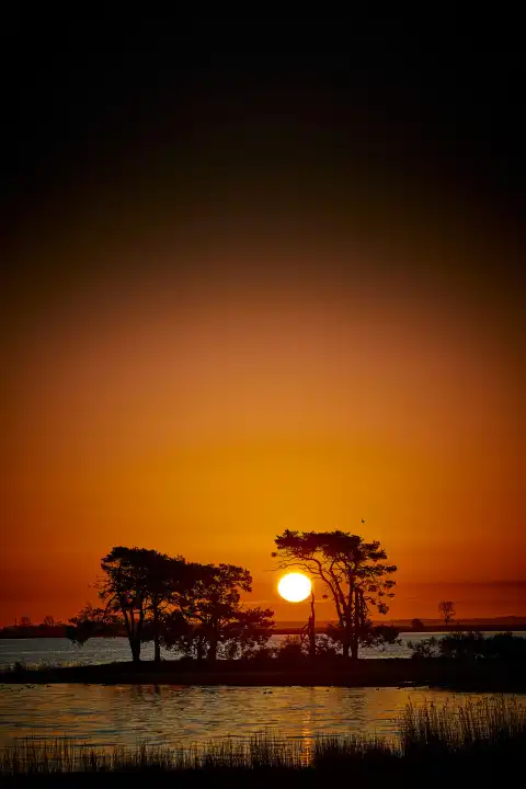 Bäume auf der Insel Al Littl, während die Sonne aufgeht