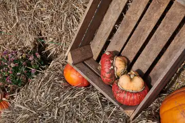 pumpkin rural decoration idea
