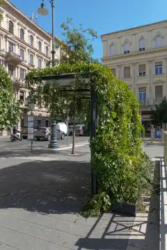 Budapest, Stadtgestaltung, begrünte Bushaltestelle, Jozsef Nador ter