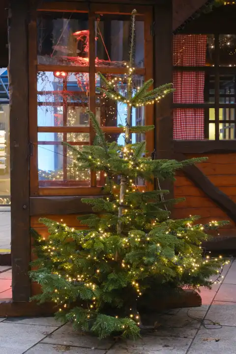 Illuminated Christmas tree at the Christmas market, Paderborn, Westphalia, North Rhine-Westphalia, Germany, Europe