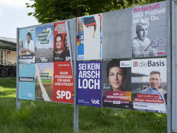 Board with election posters for the 2024 European elections, North Rhine-Westphalia, Germany, Europe