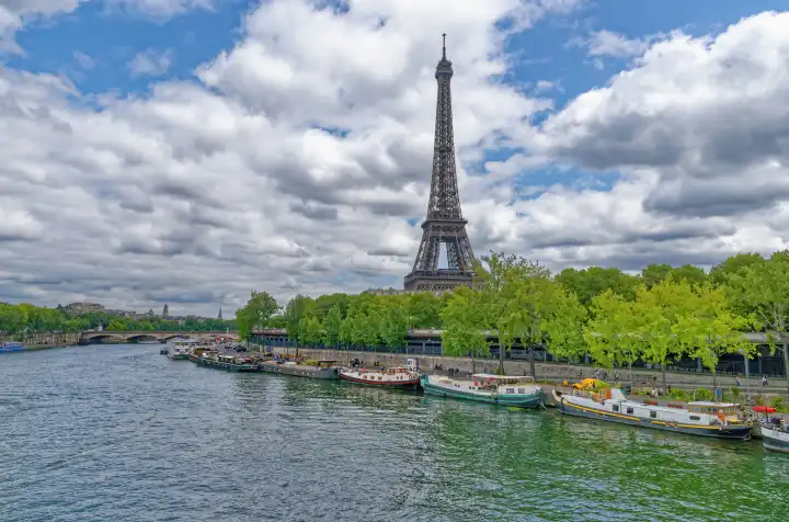 Fluss Seine und Eiffelturm  Paris  Ile de France  Frankreich