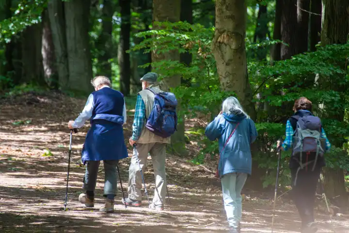 Gruppe von Senioren wandert im Pfälzerwald