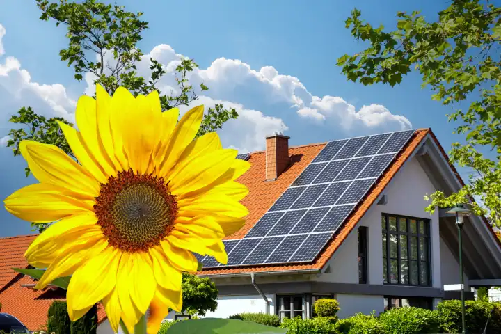 Photovoltaikanlage an einem Einfamilienhaus mit Sonnenblume im Vordergrund (Composing)