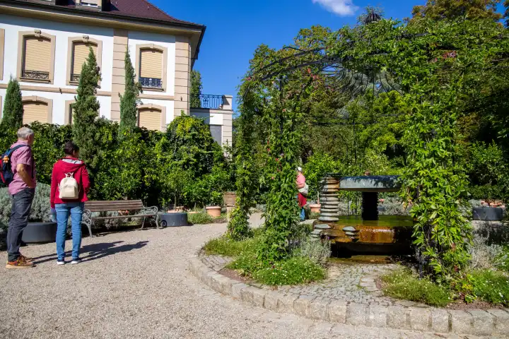 BUGA (Federal Horticultural Show) Mannheim 2023:  Mediterranean atmosphere in the citrus garden in Luisenpark