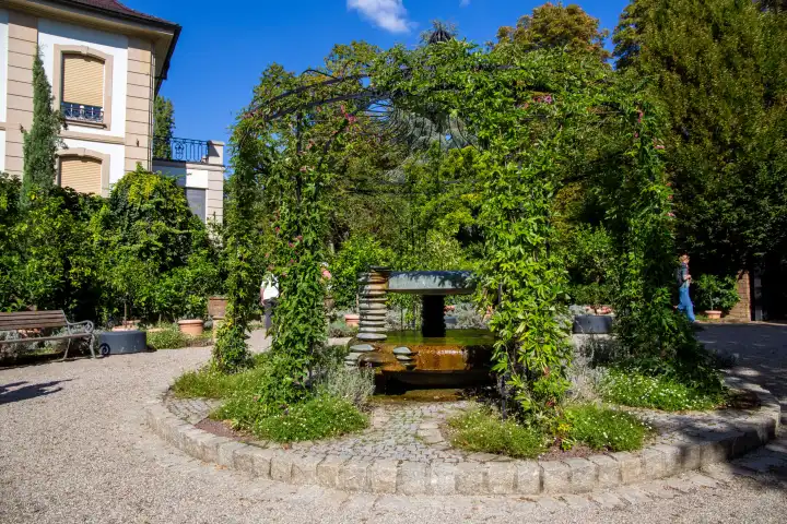 BUGA (Federal Horticultural Show) Mannheim 2023:  Mediterranean atmosphere in the citrus garden in Luisenpark