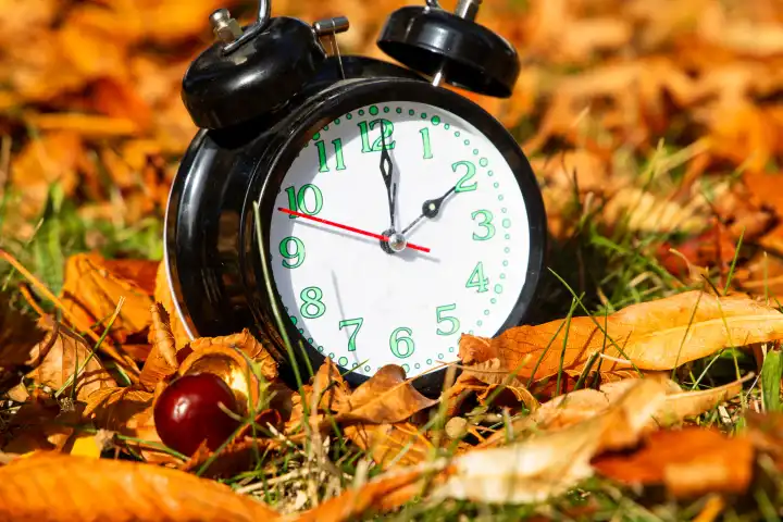 Symbol image time change, autumn: an alarm clock between autumn leaves