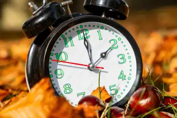 Symbolbild Zeitumstellung, Herbst: Ein Wecker zwischen Herbstlaub