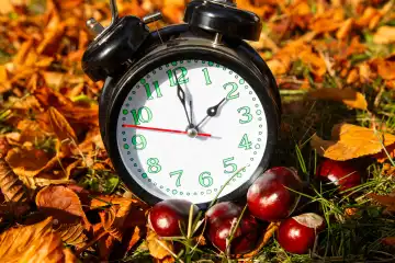 Symbolbild Zeitumstellung, Herbst: Ein Wecker zwischen Herbstlaub