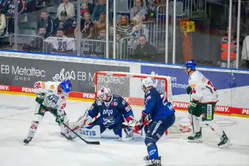Game scene Adler Mannheim vs. Augsburg Panther (PENNY DEL; German Ice Hockey League)