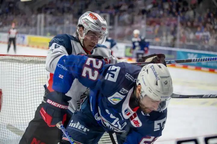 10.03.2024, DEL, German Ice Hockey League season 2023/24, 1st playoff round (pre-playoffs): Adler Mannheim against Nuremberg Ice Tigers (2:1). Close-up of the duel at the boards between Matthias Plachta (22, Adler Mannheim) and Julius Karrer (6, Nuremberg Ice Tigers)