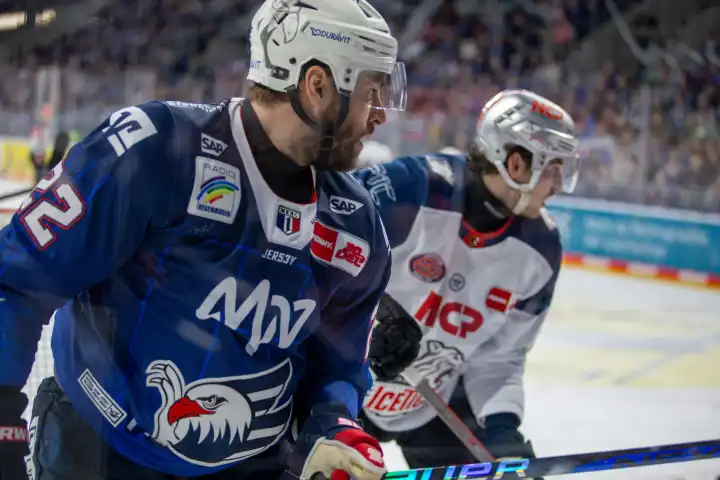 10.03.2024, DEL, German Ice Hockey League season 2023/24, 1st playoff round (pre-playoffs): Adler Mannheim against Nuremberg Ice Tigers (2:1). Close-up of the duel at the boards between Matthias Plachta (22, Adler Mannheim) and Julius Karrer (6, Nuremberg Ice Tigers)