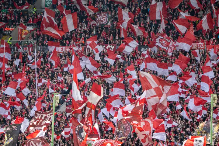 Kaiserslautern, 20.04.2024: Fans in der Westkurve des Fritz-Walter-Stadions. 42.168 Zuschauer sahen die Partei gegen den SV Wehen Wiesbaden. Der Zuschauerschnitt in dieser Saison liegt derzeit bei über 43.000