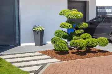 Moderner und gepflegter Vorgarten mit schöner Bepflanzung 