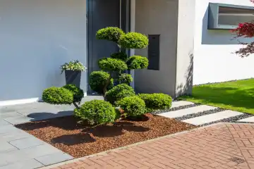 Moderner und gepflegter Vorgarten mit schöner Bepflanzung 