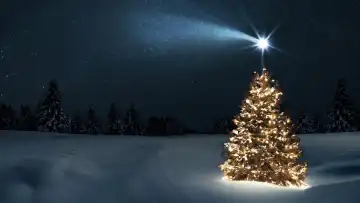 Schöner festlicher Weihnachtsbaum mit Lichtergirlanden auf einem schneebedeckten Feld mit Wald und Stern in der Weihnachtsnacht. Neujahr und Weihnachtskarte, Der erste Stern leuchtete im Winterwald auf.  Kometenstürze