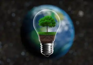 Green seedlings in a light bulb alternative energy concept, against a blurred background of planet Earth in space