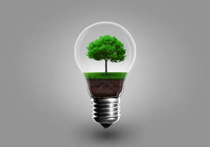 Ökologie-Konzept. Grüner Baum wächst in Glühbirne auf einem grauen Hintergrund