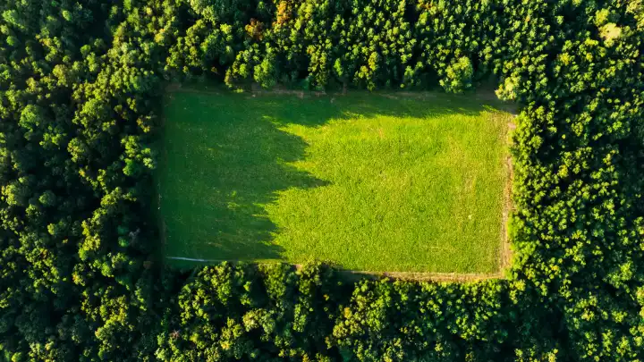 Green field in the forest, bird's eye view. Eco and nature