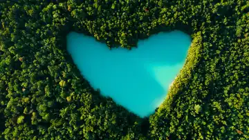 Schönes Herz See in einem grünen dichten Wald, aus der Vogelperspektive. Liebe zur Natur, Konzept. Reisen, kreative Idee.