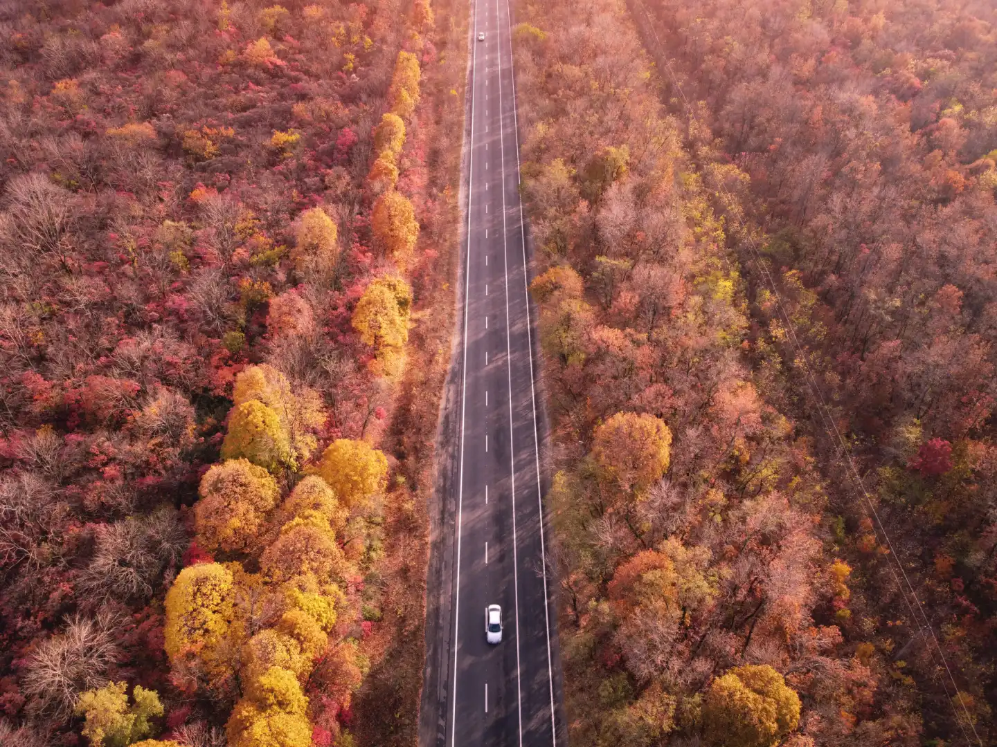 Drone view on automobile road in autumn colorful lush forest.