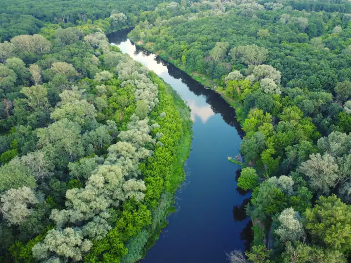 Aerial landscape with river and green forest