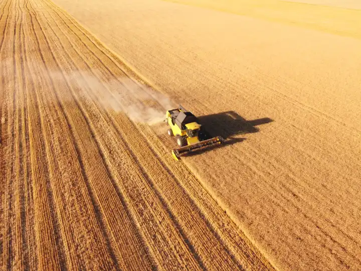 Mähdrescher arbeiten im goldenen Weizenfeld. Luftaufnahme, landwirtschaftliche Arbeiten in der Sommersaison. Weizenproduktion in der Ukraine.