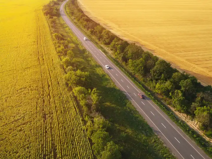 Landschaft mit landwirtschaftlichen Feldern von Sonnenblumen und Getreide und Asphalt Straße. Ländliche Luftaufnahme mit Sonnenlicht.