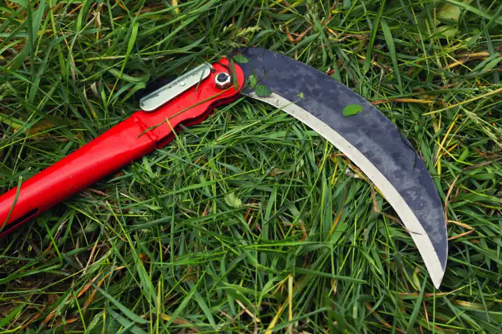 The vibrant green grass with manual small scythe. Gardening with sharp razor tool.