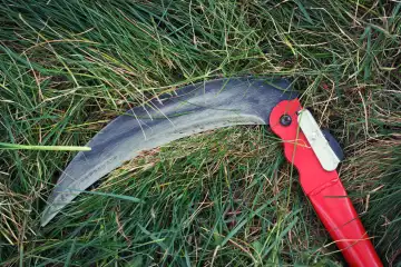 Die kleine Gras-Sense für die Gartenarbeit. Mähen Sie mit dem manuellen, metallischen, scharfen Messer auf dem grünen Rasen.