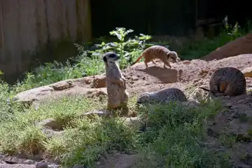 Ein Besuch im Kölner Zoo.