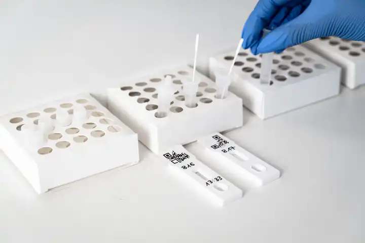 Covid 19 Schnelltest Kassetten bei der Auswertung in einem kostenlosen Testzentrum, Untersuchung nach der Probenentnahme mit einem Wattestäbchen
