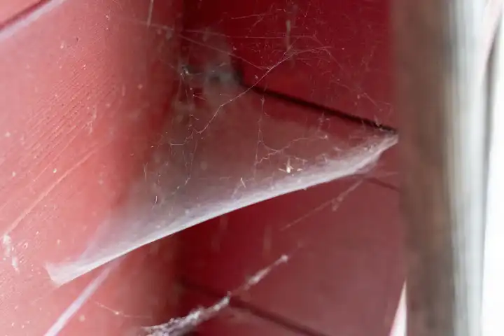 Kammlach, Bavaria, Germany - 1 July 2023: Spider webs on a house