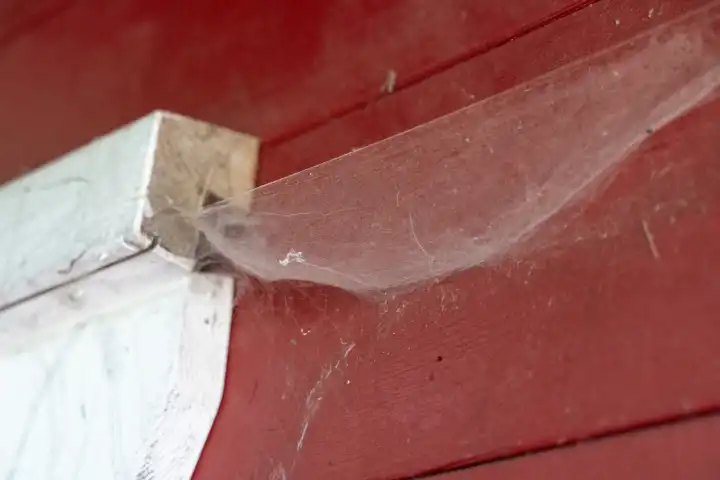 Kammlach, Bavaria, Germany - 1 July 2023: Spider webs on a house