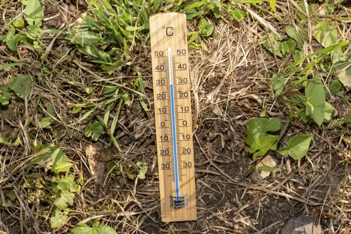 Dürre und Hitzewelle Konzept, Thermometer aus Holz liegt zwischen grünem und dürrem verwelkten Gras und Erde. Thermometer mit der Temperatur 30 Grad Celsius