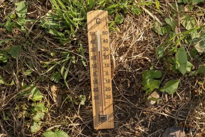 Dürre und Hitzewelle Konzept, Thermometer aus Holz liegt zwischen grünem und dürrem verwelkten Gras und Erde. Thermometer mit der Temperatur 30 Grad Celsius