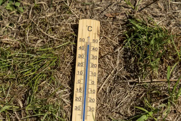 Bavaria, Germany - 20 August 2023: Drought and heat wave concept, wooden thermometer lies between green and drought withered grass and earth. Thermometer with the temperature 45 degrees Celsius