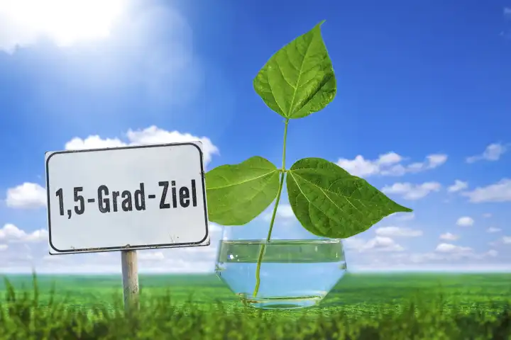 1,5 Grad Ziel, Globale Erwährmung und Umweltschutz Konzept. Grüne Pflanze in einem Glas Wasser mit einem Schild mit Aufschrift: 1,5-Grad-Ziel FOTOMONTAGE