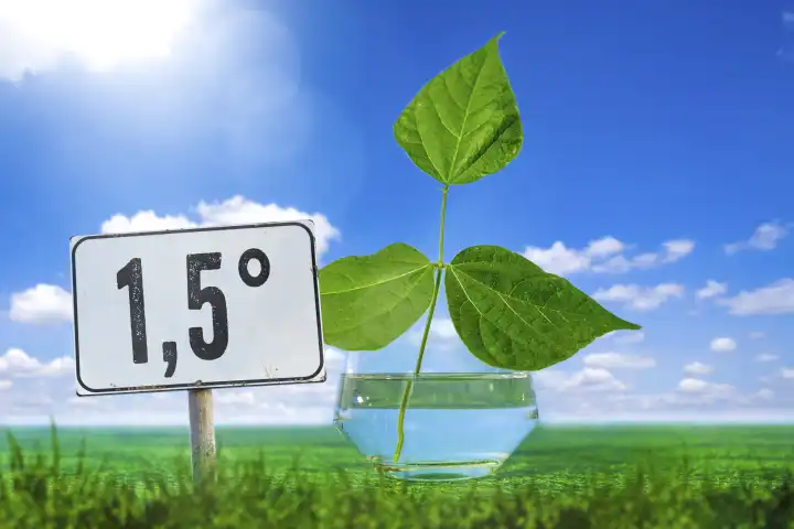 1,5 Grad Ziel, Globale Erwährmung und Umweltschutz Konzept. Grüne Pflanze in einem Glas Wasser mit einem Schild mit Aufschrift: 1,5-Grad-Ziel FOTOMONTAGE