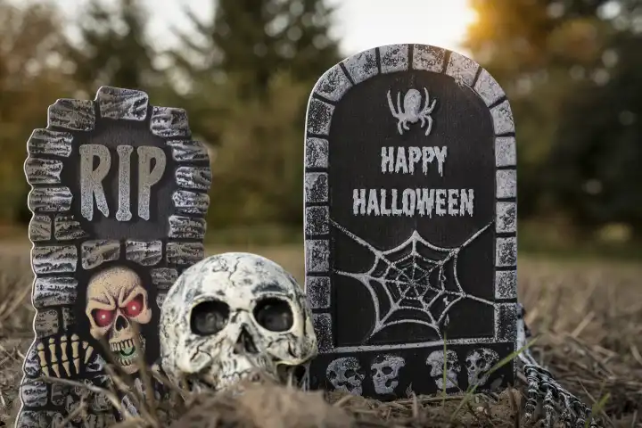 Grabstein mit Aufschrift Happy Halloween auf einem herbstlichen Acker mit einem Totenkopf Skelett. Halloween Gruß FOTOMONTAGE
