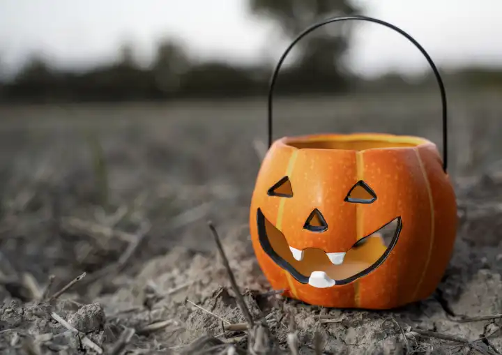 Bavaria, Germany - 10 September 2023: Halloween pumpkin lantern on a field