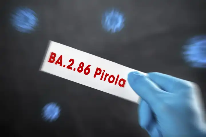 Symbolbild Covid-19 neue Corona Virus Variante BA.2.86 Pirola. Hand mit Handschuh hält Schrift in der Hand mit Aufschrift: Pirola BA.2.86 FOTOMONTAGE