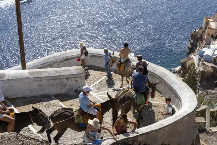 Touristen Reiten auf traditionellen Eseln in Santorini, Griechenland