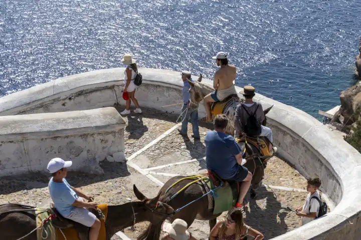 Touristen Reiten auf traditionellen Eseln in Santorini, Griechenland