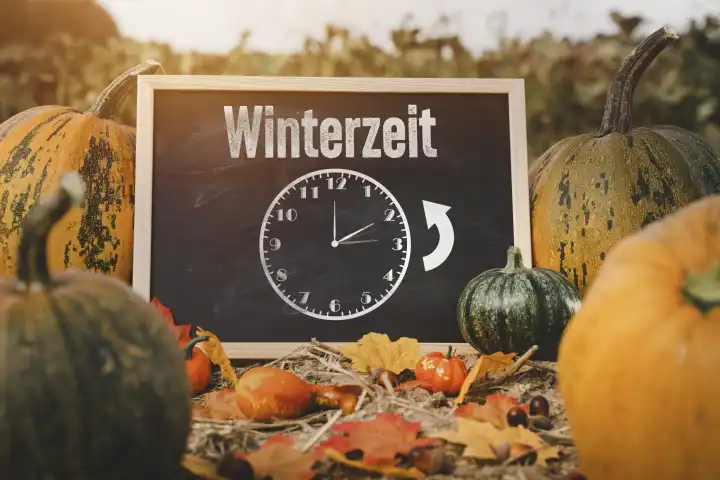 Zeitumstellung von Sommerzeit auf Winterzeit, Tafel auf einem Kürbisfeld bei Sonnenuntergang mit einer Uhr und der Aufschrift: Winterzeit FOTOMONTAGE