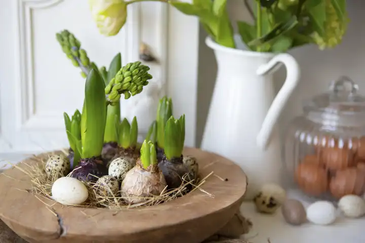 8 February 2023: Easter, decoration with wooden bowl and plants buds decorated with eggs